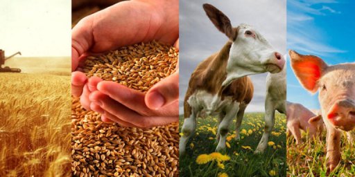 Администрация муниципального образования Мостовский район информирует