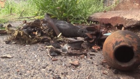 Союзные силы освободили Триполье и Владимировку в ДНР